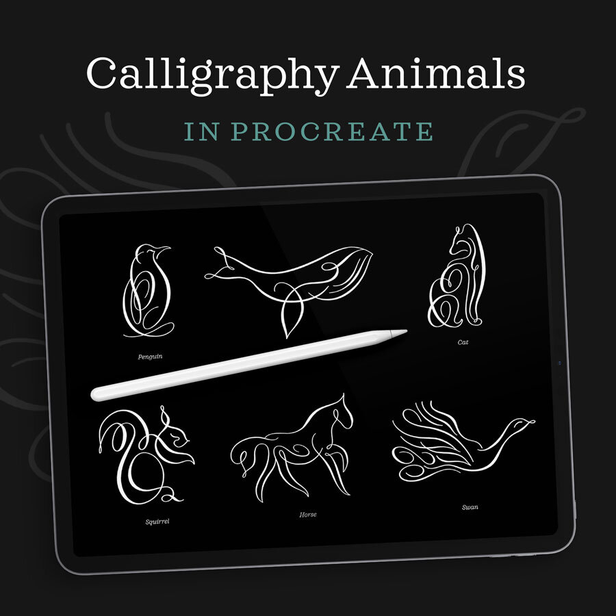 8 Animal Flourishes in Real Time