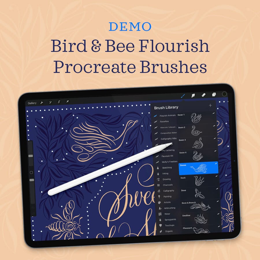 How to Use My Calligraphy Animal Flourishes Procreate Brush Pack