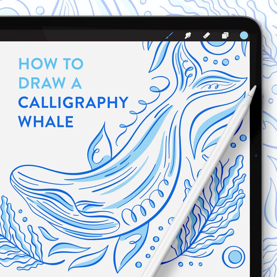 Calligraphy Whale Flourish Illustration