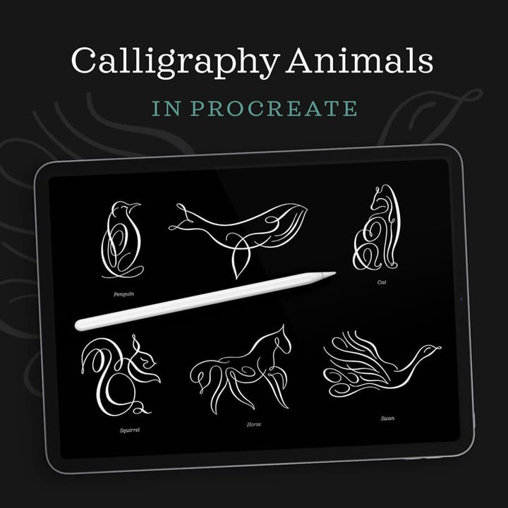 8 Animal Flourishes in Real Time