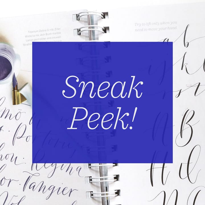 A Sneak Peek Inside My New Book