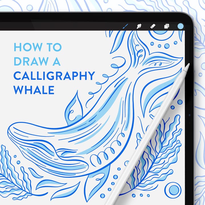 Calligraphy Whale Flourish Illustration